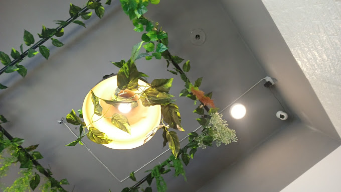 Image of StyleFix2 at Shop Number 7, M3M MERLIN, Sector 67,