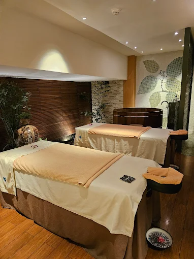 Image of Eforeaspa at Lebanon Beirut Jal el dib Highway