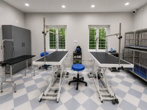 Image of JKPetNest at 81, Ramalingam Colony, Coimbatore, Tamil Nadu 641043