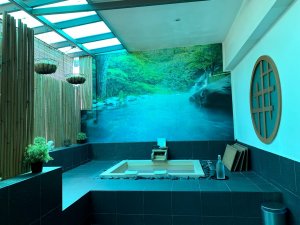 Image of IkedaSpa at Bukit Timah Rd, #787, Singapore 269762