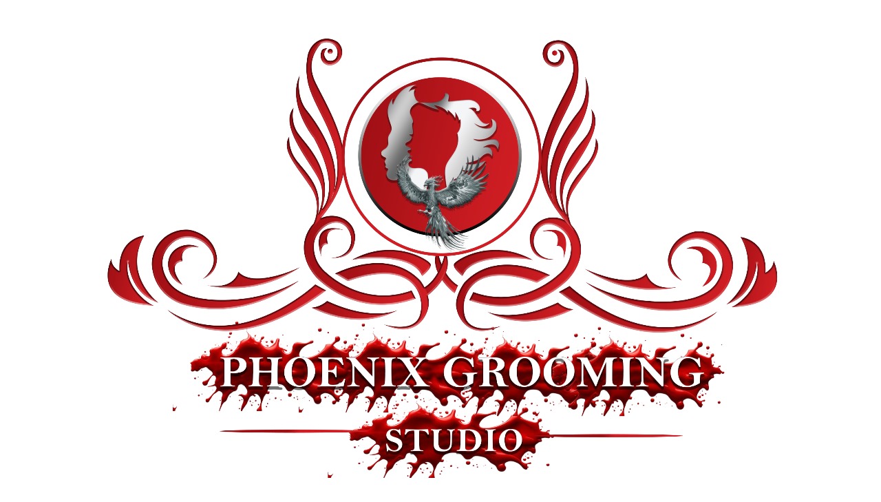Salonist Logo